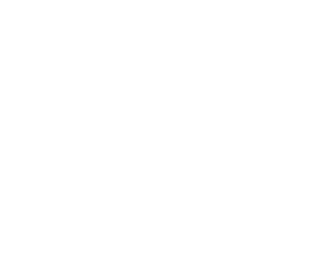 prosperity home inspection and maintenance logo white