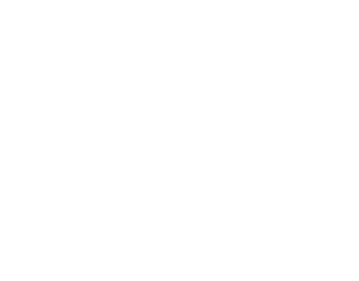 prosperity home inspection and maintenance logo white