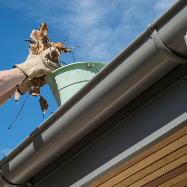 fallen leaves being removed from roof gutters